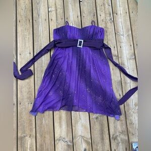 Jessica Purple Dress Petite 16P with sparkles